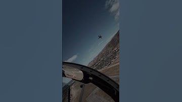 What do you mean? WHAT DO YOU MEAN? #DCS #dcsworld