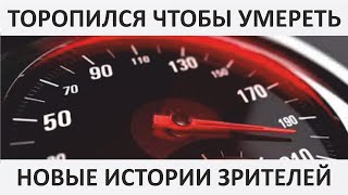 031 Торопился Чтобы Умереть | Новые Истории Зрителей