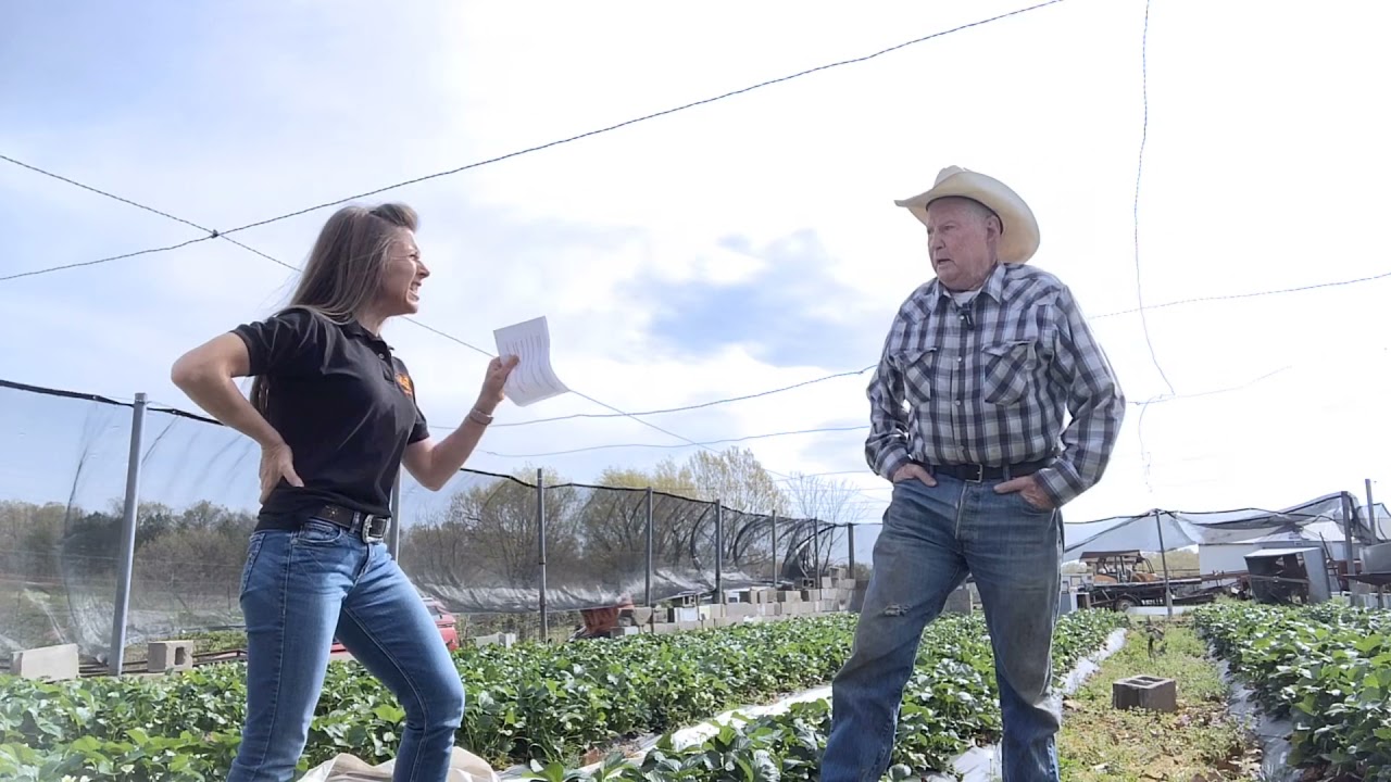 Doyle Farms Virtual Tour YouTube