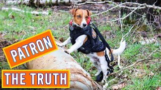 Patron Dog Bomb Sniffing dog Ukraine Собака-покровитель винюхує бомбу в Україні Ammo