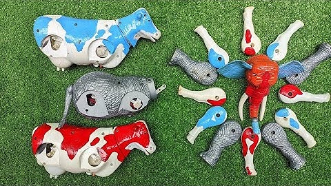 Menemukan sapi, dan merakit sapi warna warni, sapi belang, sapi kartun dan lucu #animals