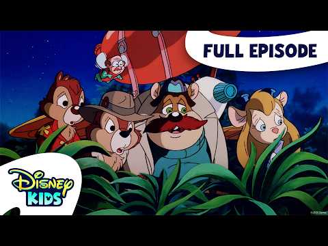 A Fly in the Ointment | Chip 'n Dale's Rescue Rangers S1 E63 | Full Episode | @disneykids