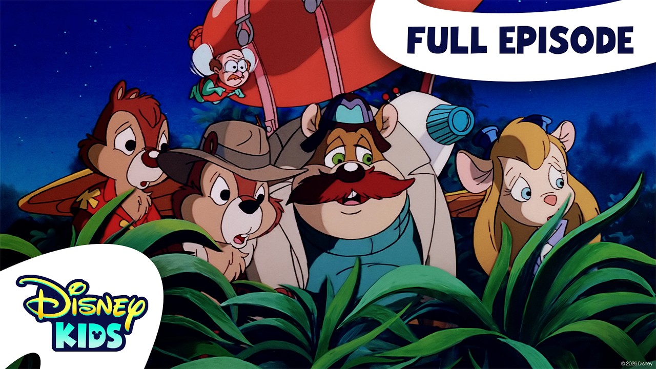 A Fly in the Ointment | Chip 'n Dale's Rescue Rangers S1 E63