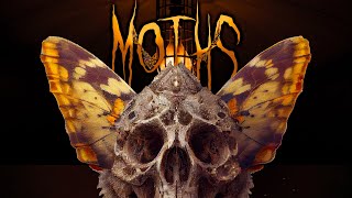 Grewsum Locksmith - Moths