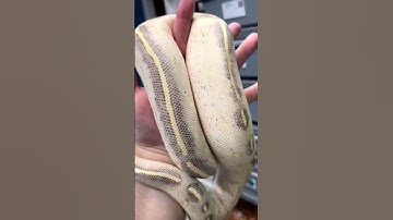 Are you getting with this or that?? Highway vs Freeway!!