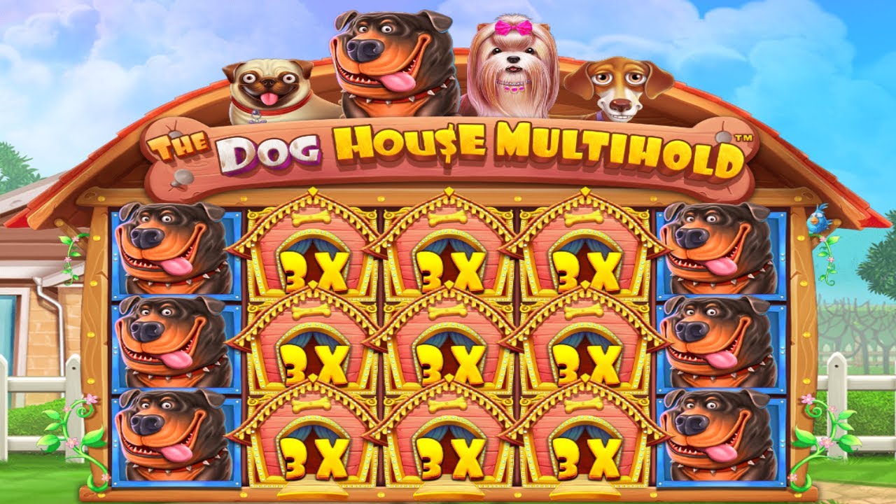 THE DOG HOUSE MULTIHOLD BRAND NEW GAME - BONUS BUY ONLINE CASINO - YouTube
