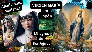 Virgen María Apariciones en Akita #aparicionesmarianas #akita #virgenmaria #milagros #japon #maria