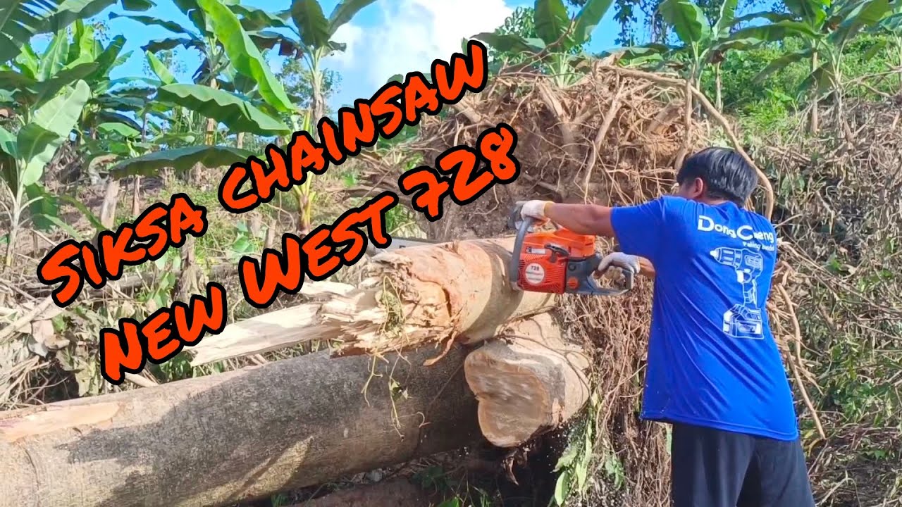 H4 belah tumbangan kayu dengan senso new west 728
