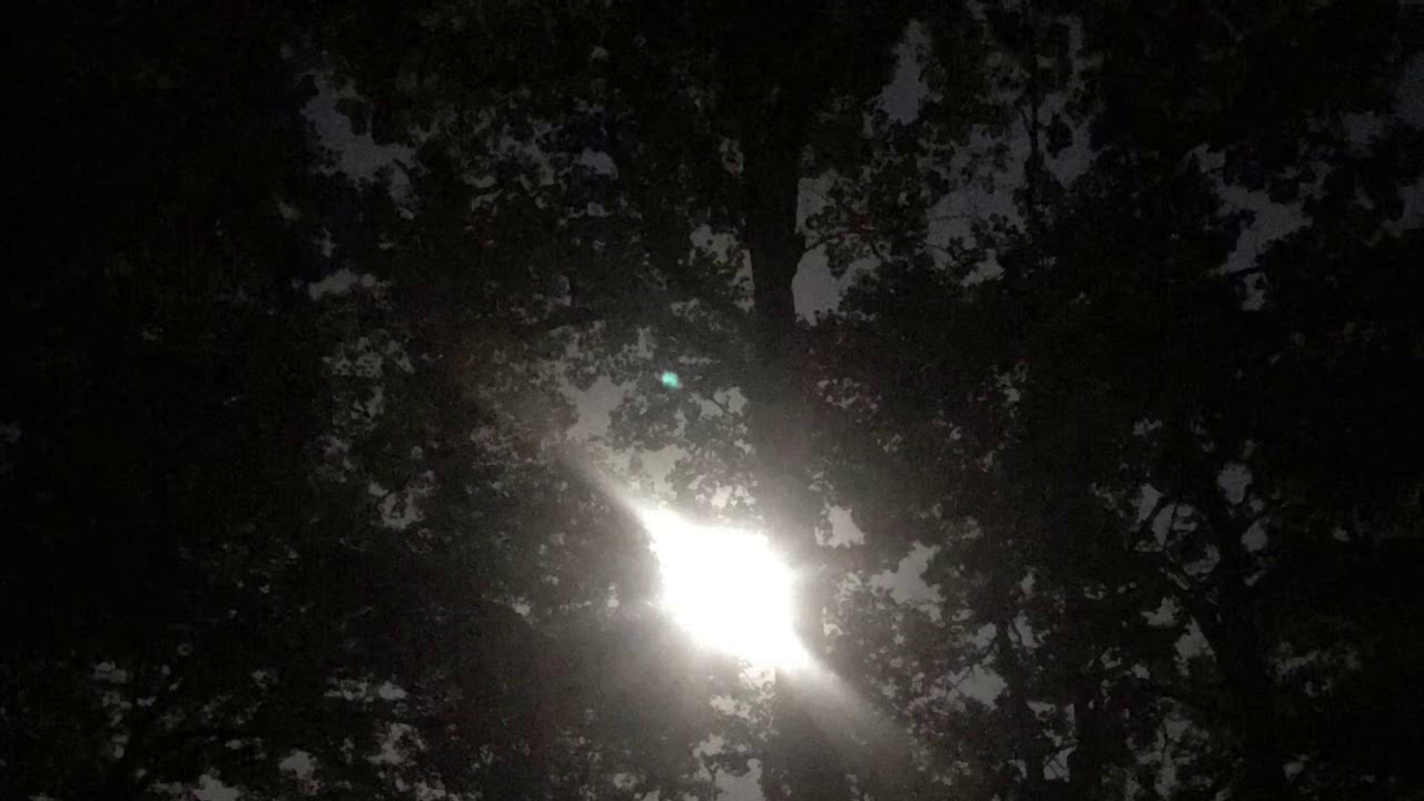 Crickets at night - 25 minutes - [ASMR] no dialogue