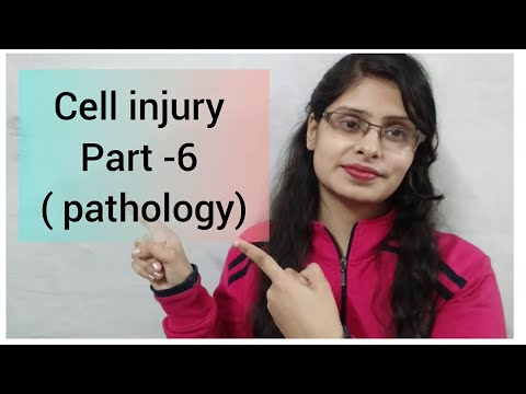 Cell injury part -6 / pathogenesis of irreversible cell injury / pyknosis / Karyorrhexis /karyolysis