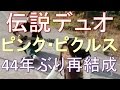 伝説デュオ、ピンク・ピクルスが44年ぶり再結成へ　相互チャンネル登録