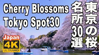 🇯🇵4K 東京の桜名所30選 Tokyo Cherry Blossom（sakura) Japan Spots 30 名所 満開 花見 東京観光 旅行 案内 千鳥ヶ淵 新宿御苑 上野公園 日本の桜