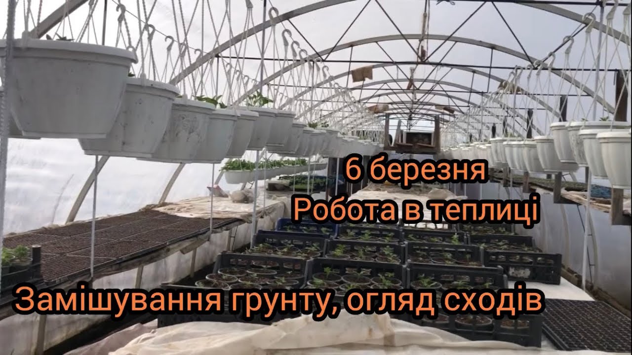 На чому можна заробляти з теплиці не сильно напрягаючись 