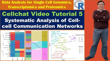 Cellchat Video Tutorial 5: Systematic Analysis of Cell-cell Communication Networks