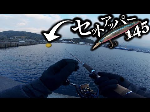 最強ミノー】関西で超人気のセットアッパーを湾奥に投げたら一投目で