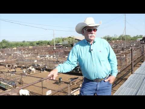 Interview with American Goat Federation President Randy Dusek