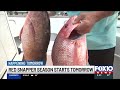 Red snapper season opens Friday