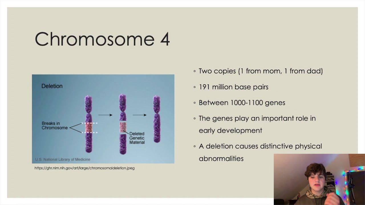 WolfHirschhorn Syndrome Biology Project YouTube