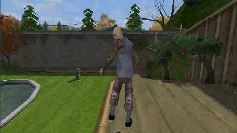 tony hawk