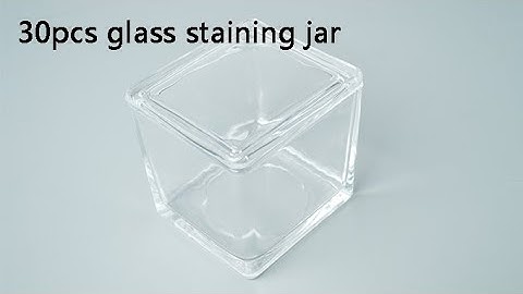 laboratory pathological tissue slide glass staining jar for 30pcs slides