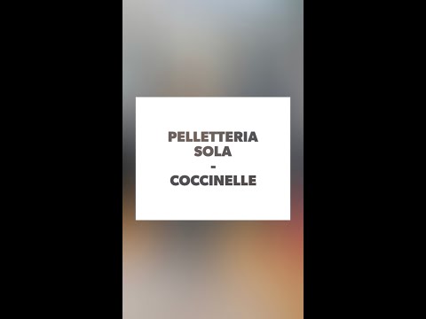 Video: Bellissimi Panini 