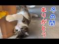 冬の風物詩をお片付け♪ vol.1554