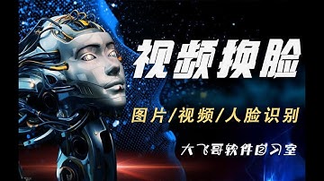 视频换脸软件训练DFM模型换脸常见问题解答解决黑框闪烁