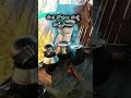 𝗕𝗮𝗰𝗸 𝘁𝗼 𝗼𝗹𝗱 𝗱𝗮𝘆,𝘀......#fyp #reech #viral #gas ##stove