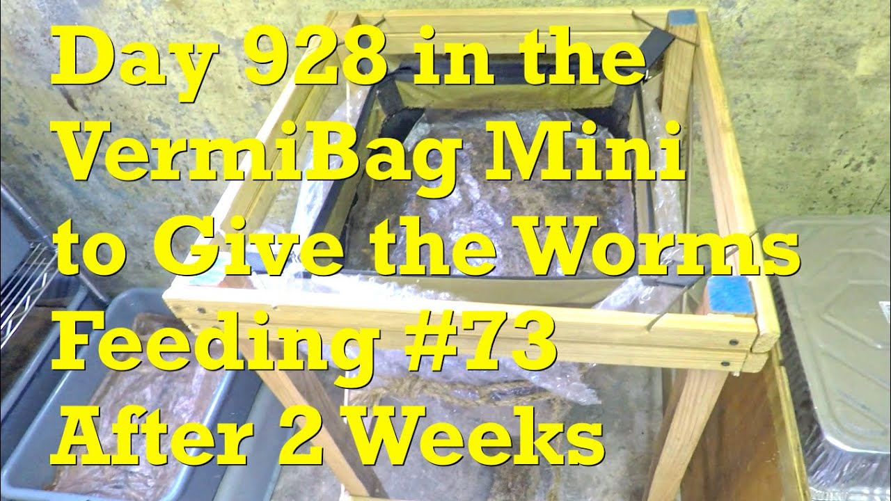 73-е кормление, после двухнедельного перерыва, красных дождевых червей в вермикомпосте VermiBag M...