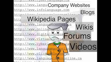 VidClip 9.1 Information Overload