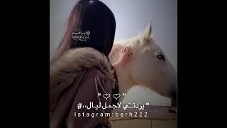 شيله كنت احبك||محمد بن غرمان||ستوري انستغرام حزين||شيلات حزيته2021