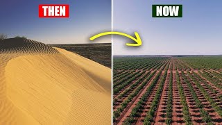 How Australia is Regreening its Deserts Back into a Green Oasis
