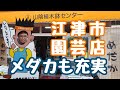【山陰植木鉢センター】めだかも安くて人気♪色んな種類の植木鉢や園芸用品、雑貨のお店♪週末に秋の山野草展もあるそうなのでぜひ^^♪楊貴妃めだか♪松井ヒレ長♪