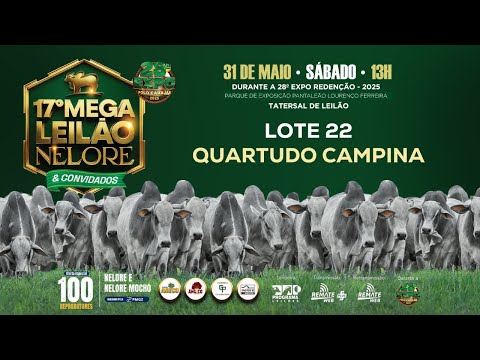 LOTE 22 - AJF 5485