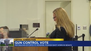 Democrats in Virginia Senate block rollback of gun control measures