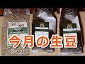 コーヒーVLOG　8月の生豆