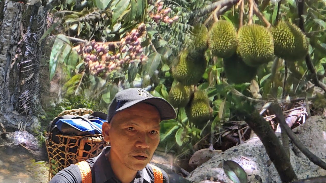 👀 Terkejut  Masri Jumpa Bangkai Haiwan di Hutan⁉️😱