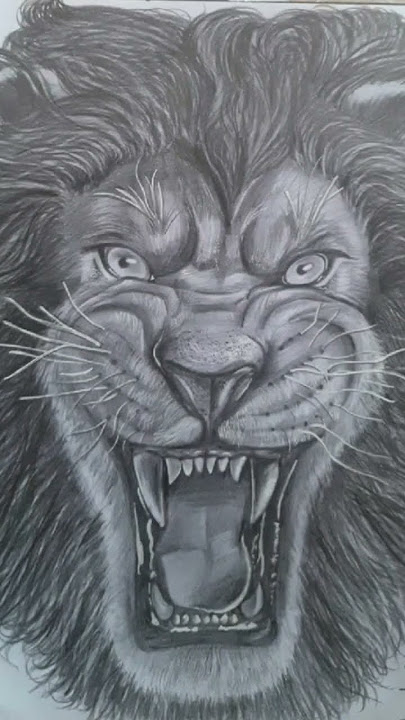 Panthera leo #leo #art #drawing #art #artist #pantheraleo#lion