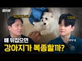대부분 잘못하고 있는 강아지 복종훈련 (스킨십, 입질, 새끼강아지 교육) | 멍터뷰ep.13