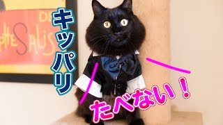 ジャンク バーチャルペット まとめ あるくんです ネコ生んじゃった等 Yahoo!オークション -「スライムあるくんです」(バーチャル