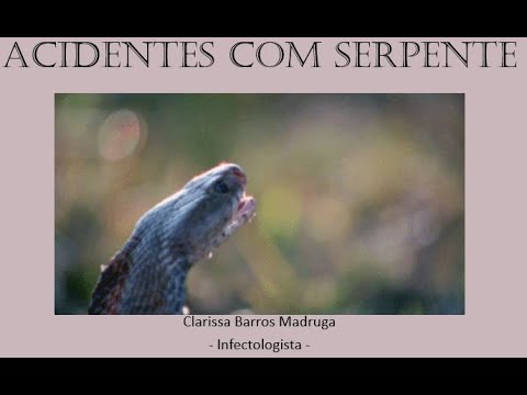 Serpentes