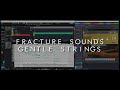 GENTLE STRINGS / KONTAKT SAMPLE / FRACTURE SOUNDS / FREE / TEST VIDEO / Calvin Choi