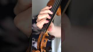 Notes on the Violin D String for Beginners #shorts
