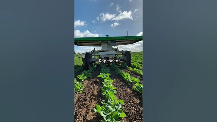 Crops we can take of with the FarmDroid #agriculture #farming #agtech #robot #farmdroid