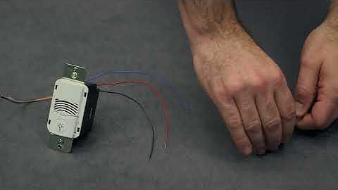 DLVP 23: Connecting a NeoSwitch