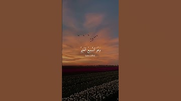 القارئ سامر نيازي جلول | قراءة من صلاة العشاء -سورة الانعام