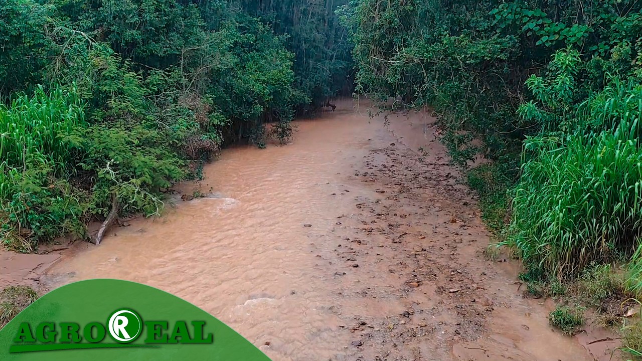 Defesa civil alerta moradores das proximidades de rios e pontes para período de chuva intensa