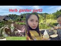 Herb garden part2 kobe 😀 tuloy ang pasyal👍布引ハーブ園🌿パート2😉