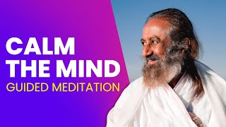 Calm The Mind | Guided Meditation in Hindi & English by Gurudev screenshot 4