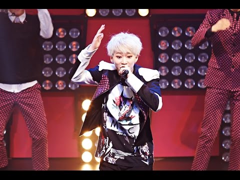 Block B's Zico: "I Filmed a Music Video with an Ostrich" (Block B, ZICO)